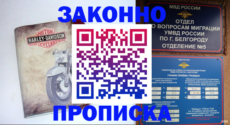 прописка для школы в Краснокаменске